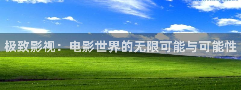 日本理论电影2828：极致影视：电影世界的无限可能与可能性
