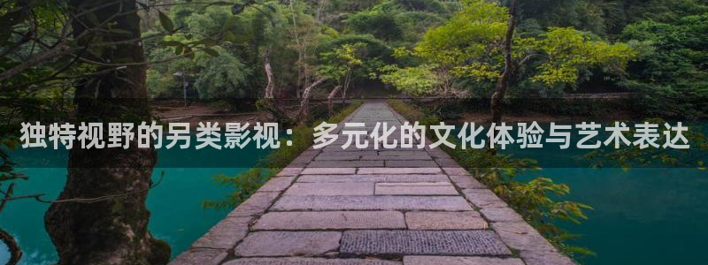 日韩在线理论电影：独特视野的另类影视：多元化的文化体验与艺术表达