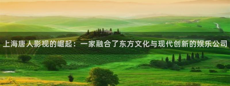 2023理论电影：上海唐人影视的崛起：一家融合了东方文化与现代创新的娱乐公司