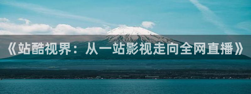 理论凑点影院：《站酷视界：从一站影视走向全网直播》