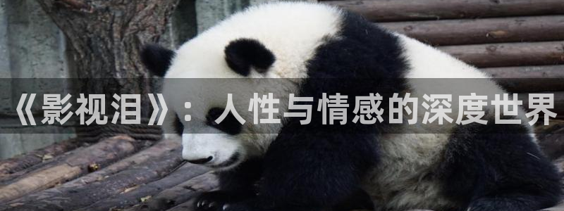 神马影院理论频道在线观看：《影视泪》：人性与情感的深度世界