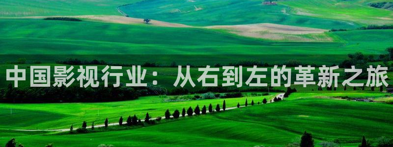 韩国电影理论大全：中国影视行业：从右到左的革新之旅
