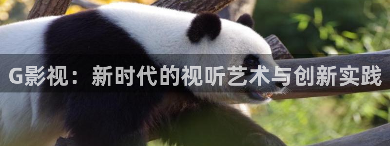 韩国理论电影视频：G影视：新时代的视听艺术与创新实践