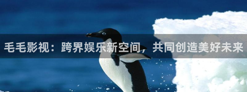 神马理论片电影院：毛毛影视：跨界娱乐新空间，共同创造美好未来