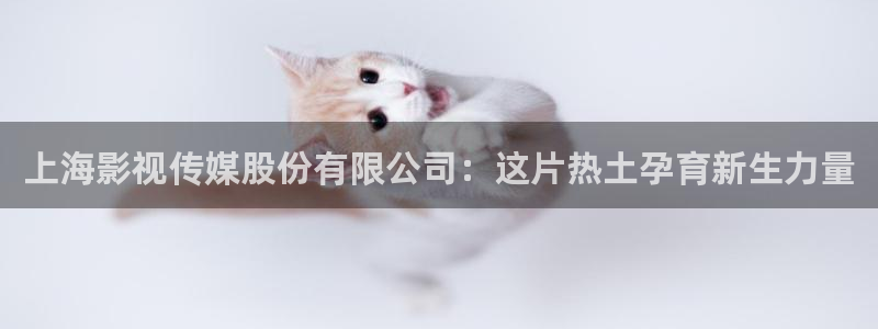纤纤影视理论xinxin：上海影视传媒股份有限公司：这片热土孕育新生力量