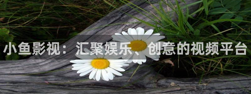 大陆理论影院：小鱼影视：汇聚娱乐、创意的视频平台